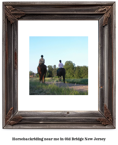 horseback riding near me in Old Bridge, New Jersey